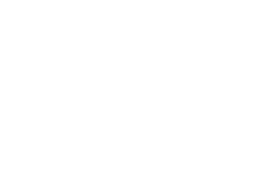 Ávila IIES, Instituto Internacional de Estudios Superiores